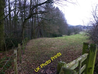 Photo 6x4 Edge of woodland Healey Cote Dropping down to the Forest Burn. c2015