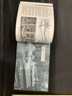 Foto 8 di 10