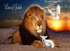 Lion of Judah - Lamb of God - Jesus Christ Picture 8"x10" ready to be framed