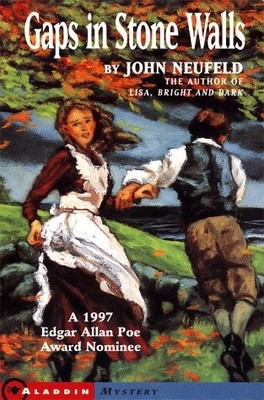 Gaps in Stone Walls - paperback Neufeld, John