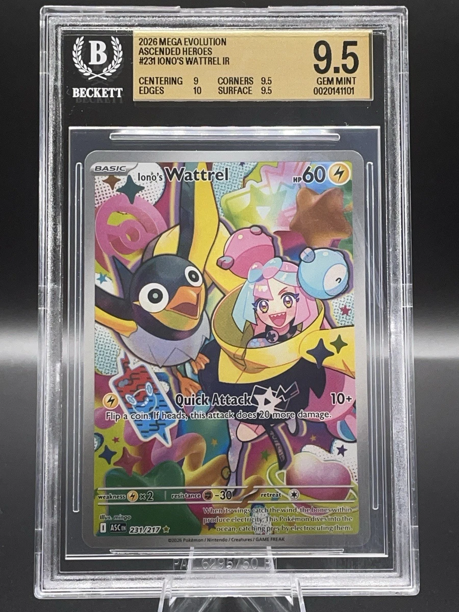 Pokémon TCG Beckett 评分服务(BGS) 10 级个人集换卡牌游戏| eBay