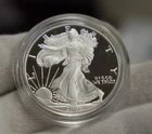 2006 W (Proof) Silver Eagle $1 Nice Cameo