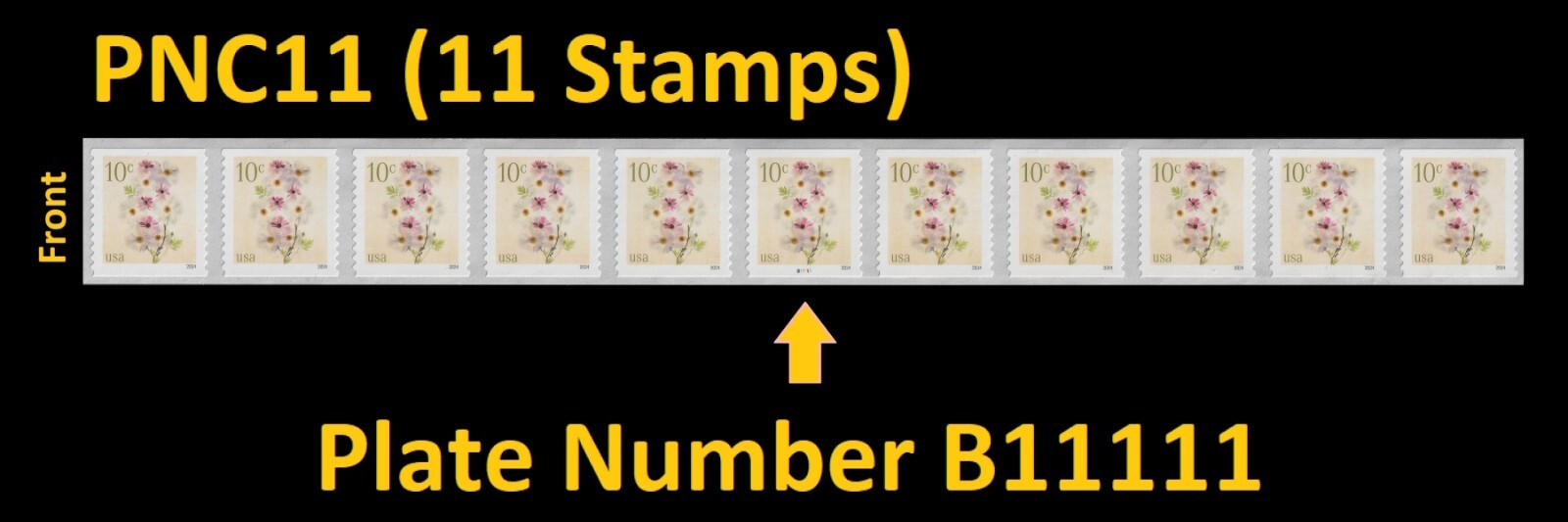 US 5906 Flowers Poppies & Coneflowers 10c PNC11 B11111 MNH 2024 | eBay