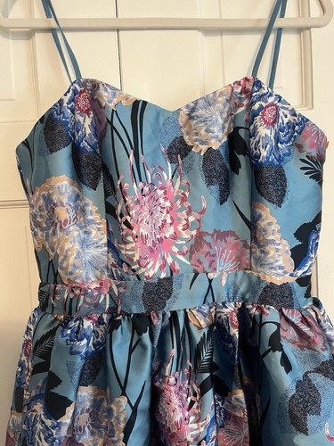 Anthropologie Champagne And Strawberries Blue Floral Brocade Dress Medium Womens - Picture 2 of 5