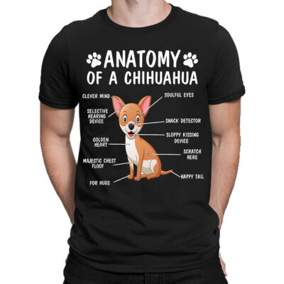 Anatomy Of a Chihuahua Dog Medical Science Biology Body Organs