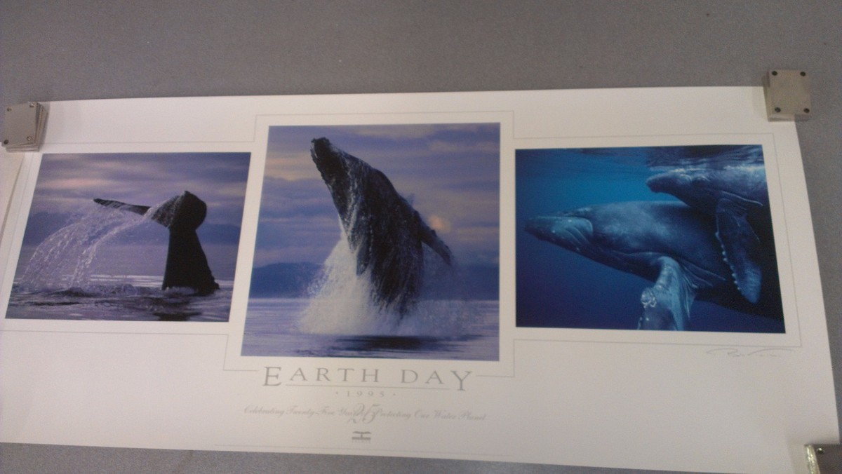 Bob Talbot 80s vintage poster 3種セット Bob Talbot 1992s Original Vintage