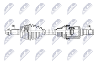 NTY NPW-LR-029