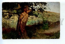 523724 Russia LEVCHENKO Old pear Tree RICHARD #720 Vintage postcard