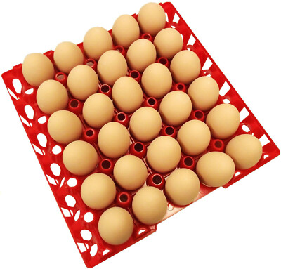 96 RITE FARM PRODUCTS 30 EGG PLASTIC CHICKEN TRAYS SHIPPING CARTON POULTRY FLAT