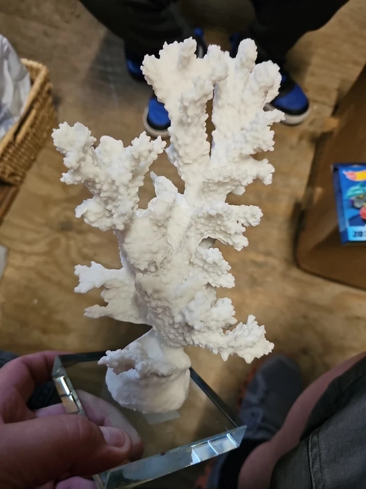 White Coral Sculpture With Crystal Base From Apropos Very Detailed And Heavy - Image 2 of 4