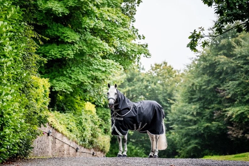 Horseware Amigo® Bravo 12 Plus Turnout (0g Light) Black / Titanium Regendecke - Bild 2 von 4