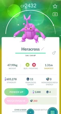 Pokemon Go Shiny Heracross