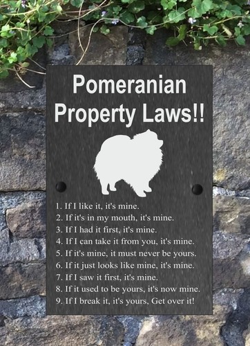 Property Laws Funny Dog Slate Gate House Sign 3 Sizes ALL BREEDS AVAILABLE M-Y - Picture 19 of 57