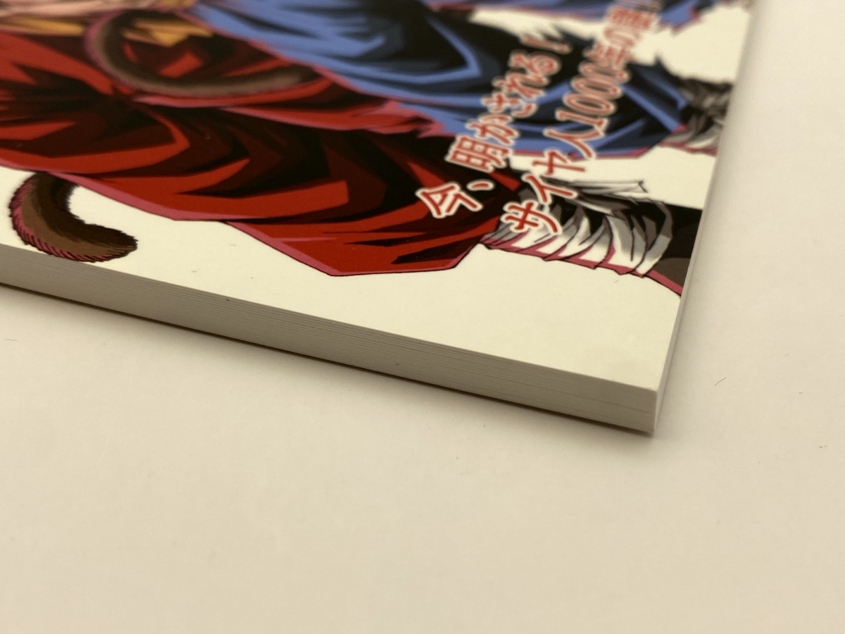 AFTER THE FUTURE NO.21-24セット Doujinshi Dragon Ball AF DBAF After the Future 21 (A5 62page