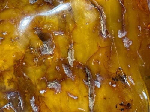 Natural amber, unprocessed, Baltic amber, large piece 895 grams. - Picture 20 of 24