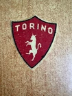 TURIN CLOTH SHIELD 1960s