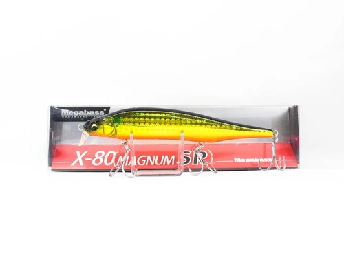 Megabass X-80 Magnum SR Floating Lure GG KInbora (2674)