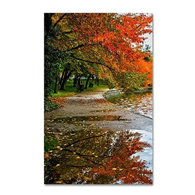 ''Tidal Basin Autumn 1'' Artwork by CATeyes, 22 by 32-Inch