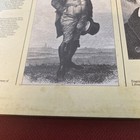 Picture 6 of 11