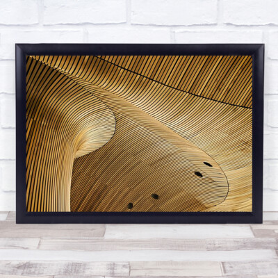 Architecture Rood Home Lines Repetition Shapes Brown Wave Circle Wall Art Print