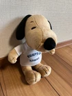 Hawaii Only Tanned Snoopy Plush Toy