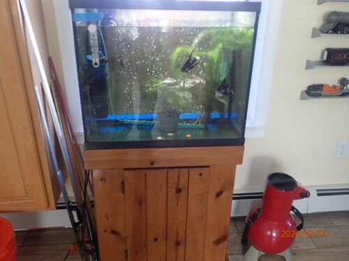20 gallon tall aquarium
