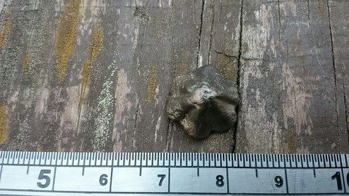 Lovely Roman Bronze stud mount L7s