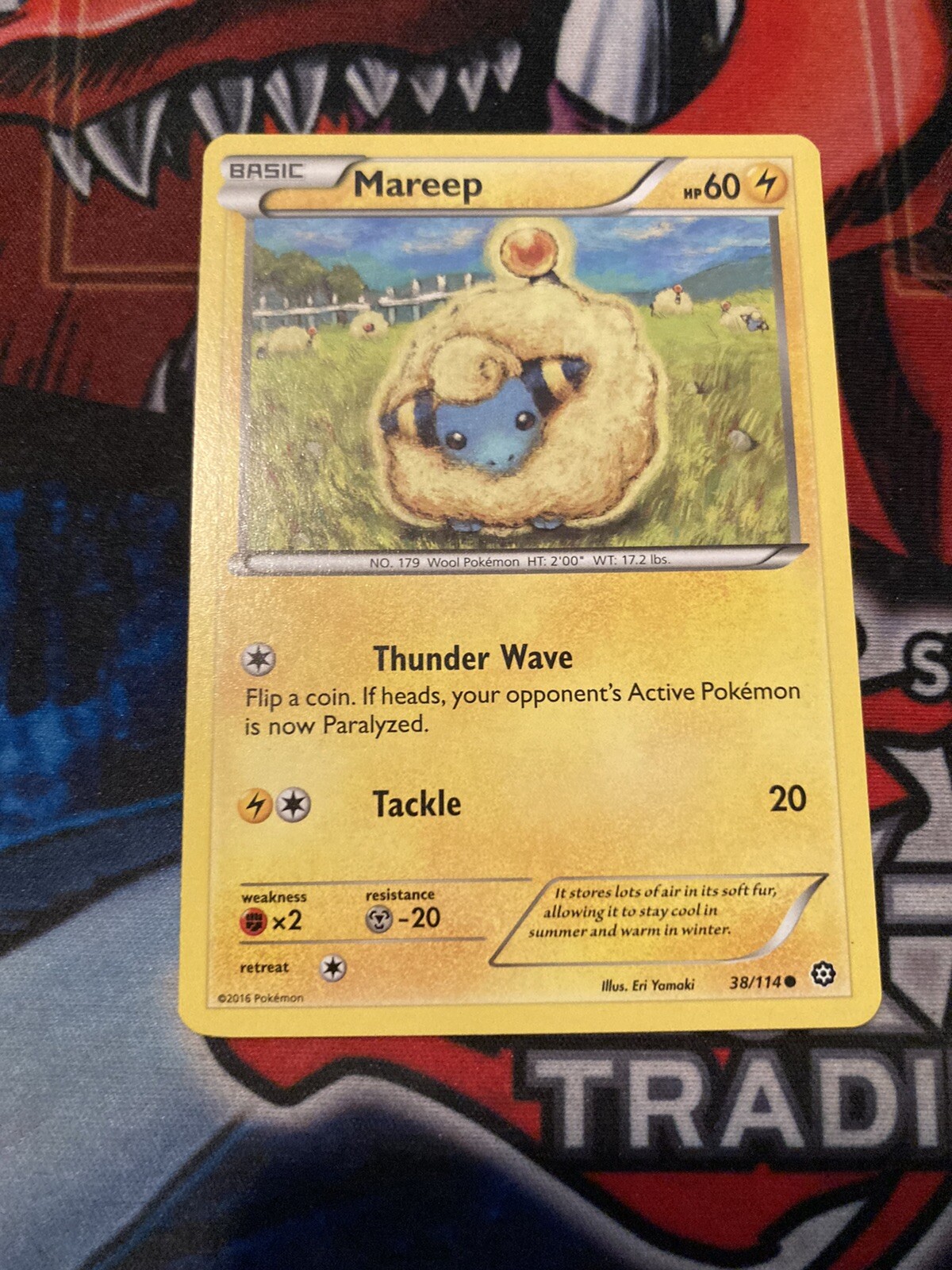 Pokémon TCG Mareep Steam Siege 38/114 Regular Common-NM