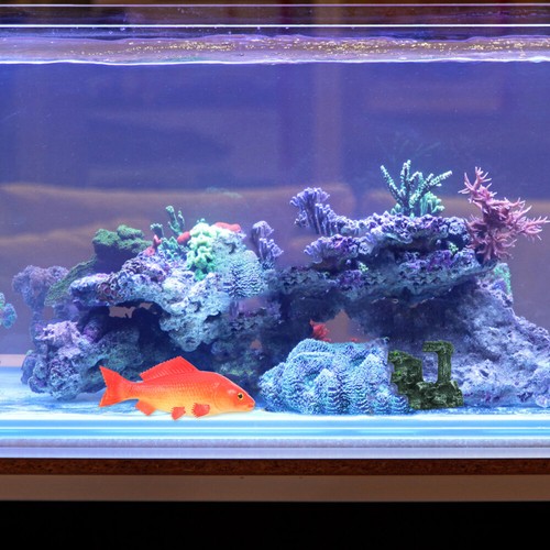 1PC Kids Kitchen Fish Toy Aquarium Decoration Sea Fish Toy Ocean Model Toy - Picture 9 of 12