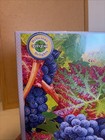 NEW Springbok Delicious Delights 1,000 Pc Jigsaw Puzzle Grapes On Vine 20" x 27" — photo 2