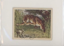 1933 Planters Big Game Peanut Blocks Hunted Animals R71 Tiger #17 5ir