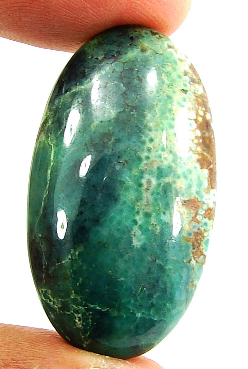 Foto 1 di 2