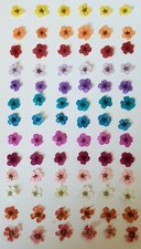 104 Dried Dry Flowers 5 petal Nail Art Craft Mix of Colors