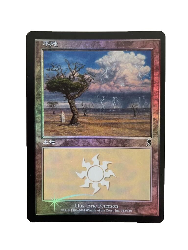 Land Magic: The Gathering Individual Trading Card Games in