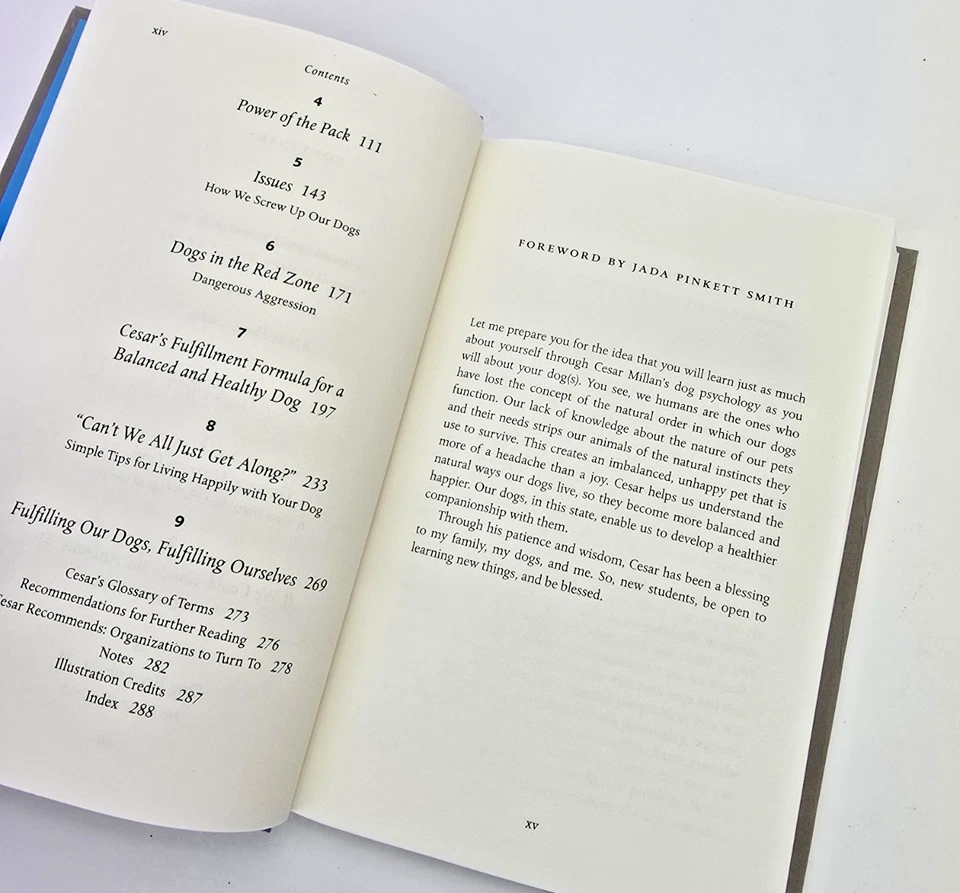 Cesar's Way The Natural Everyday Guide to Understanding and Correcting Dog - Image 2 of 4