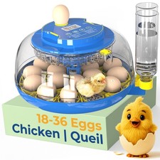 Egg Incubators for Hatching 18-36 Chicken/Quail/Turkey Eggs, 360  View Poultr...