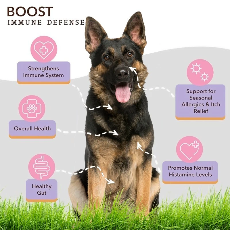 Immune Support Chews For Dogs -Itching Skin Relief- Allergy Relief -Gut Health - Image 2 of 4