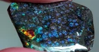 Ammolite  Ammonite   Coated Stone 31.2x19.3x3.5mm 6178