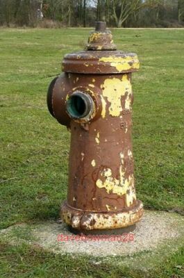 PHOTO  GREENHAM COMMON ARTEFACT THERE ARE MANY PIECES OF EVIDENCE OF THE FORMER