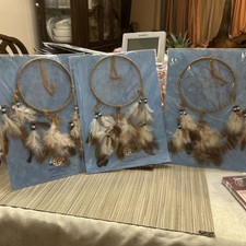 Lot 5 Dream Catcher Legends of The Dreamcatcher Authentic Sioux Native American