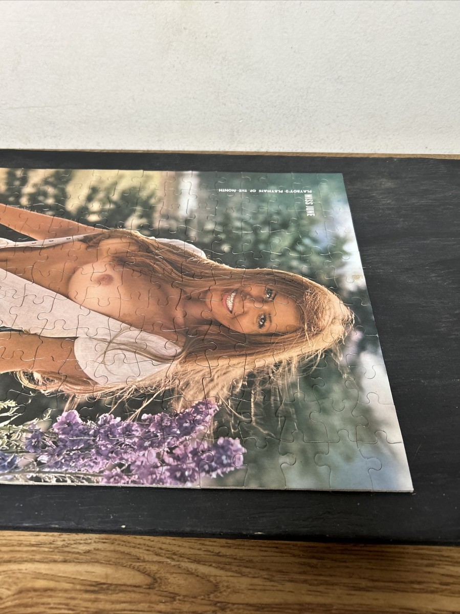 Complete Playboy Playmate Jigsaw Puzzle Vintage 1971 Miss