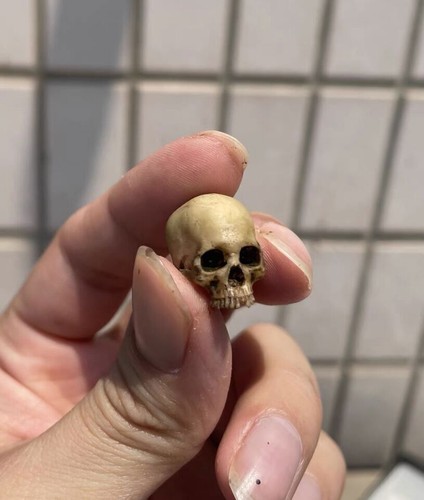 1/12 Scale Human Beings Skeleton PVC Model for 6" Action Figure Accessory Toys - Picture 21 of 24