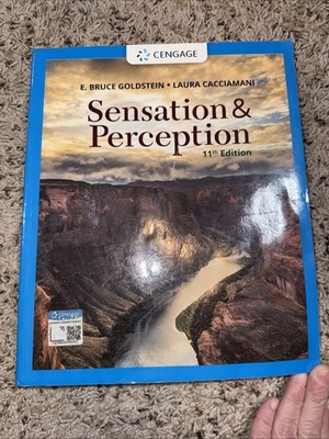Sensation and Perception 11E - Paperback by Goldstein E.; Cacciamani - Used