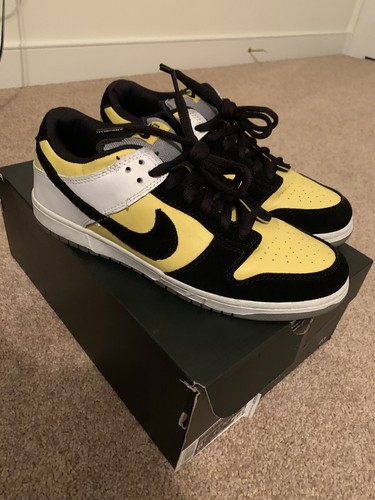 nike sb bic