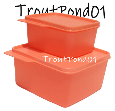Tupperware Keep Tabs Nesting Stacking Square Storage Containers Coral Set 2 New