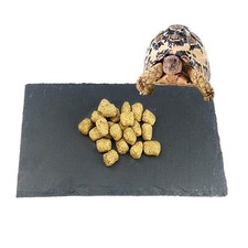 Reptile Basking Platform Tortoise Feeding Dish Natural Rock Reptile Food Bowl La