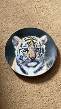 PRINCETON GALLERY Tiger Cubs Plate – Big Cats Fine Collector Series