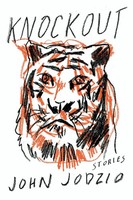 Knockout | Stories | John Jodzio | Taschenbuch | Kartoniert / Broschiert | 2016