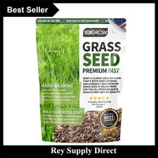 Sustainable Grass Seed for Patch Repairs - Quick Germination & Dense Growth 100g 99.50 per kilo