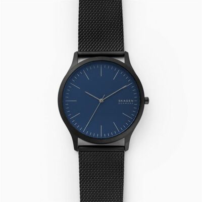 ebay skagen